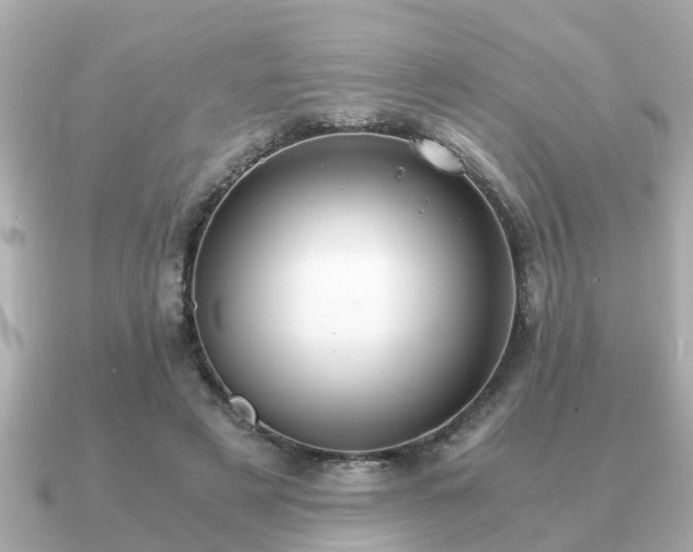 X0000091100497200708131109