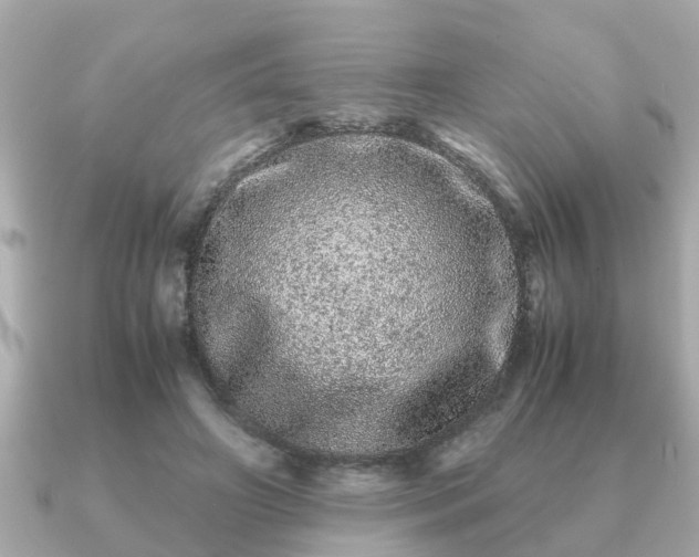 X0000091100498200708131109