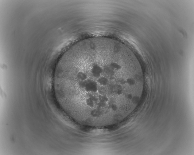 X0000091100499200708131109