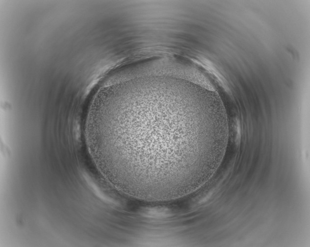 X0000091100500200708131109