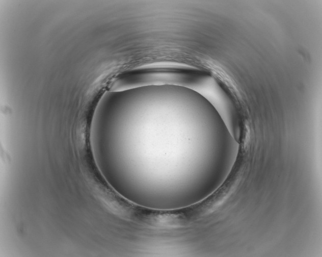 X0000091100501200708131109