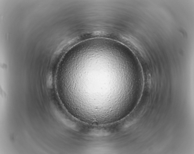 X0000091100502200708131109