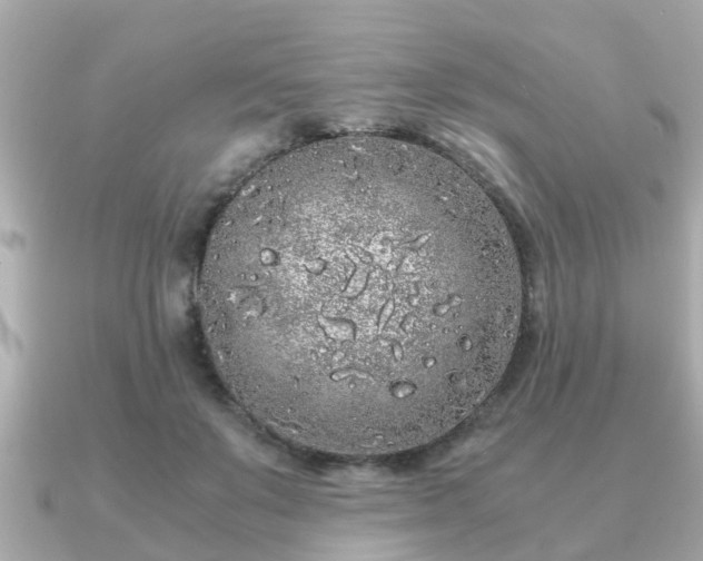 X0000091100503200708131109