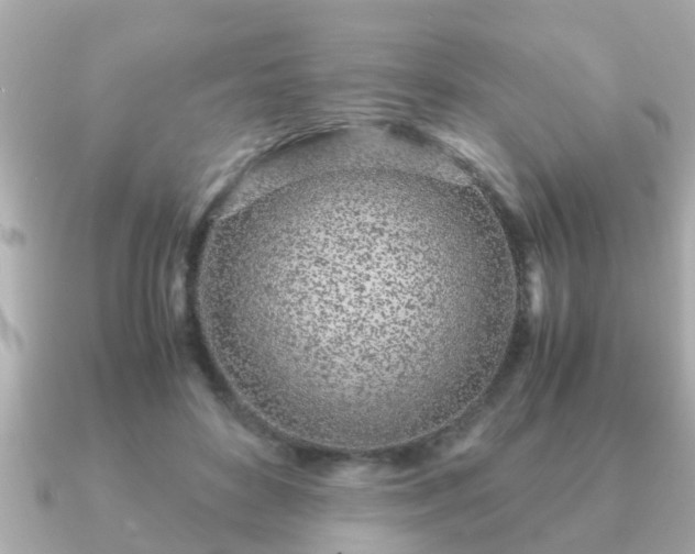 X0000091100504200708131109