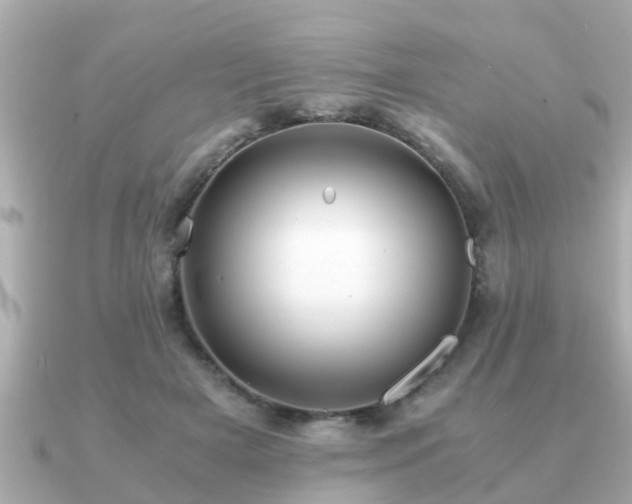 X0000091100505200708131109