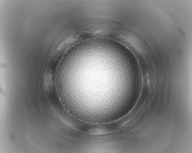 X0000091100506200708131109