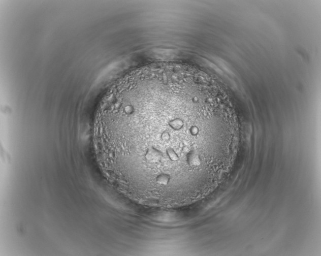 X0000091100507200708131109