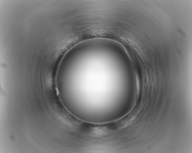 X0000091100508200708131109