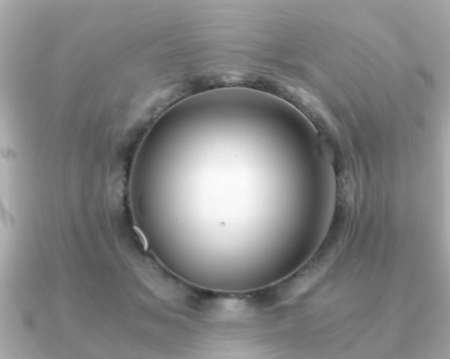 X0000091100509200708131109