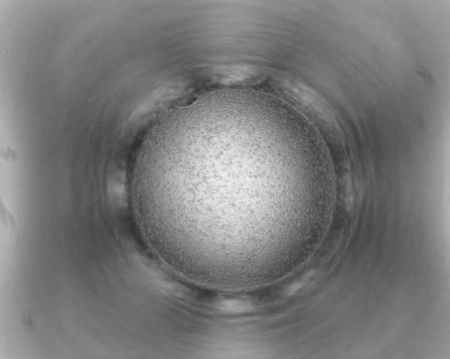 X0000091100510200708131109