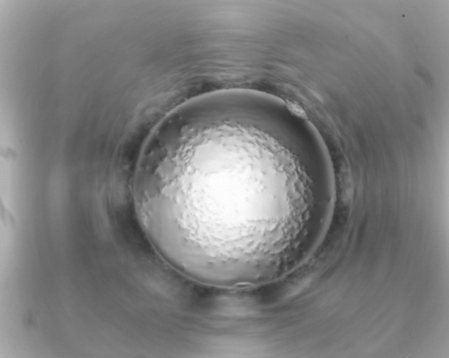 X0000091100515200708131108