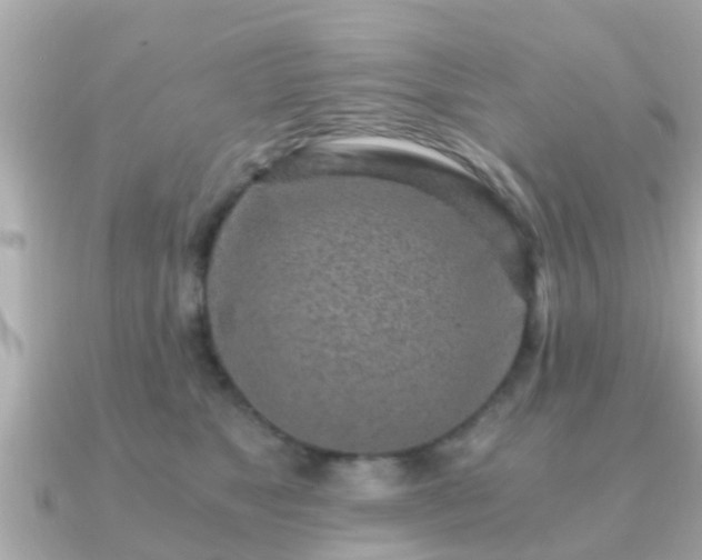 X0000091100517200708131108