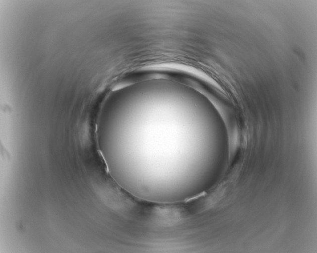 X0000091100520200708131108