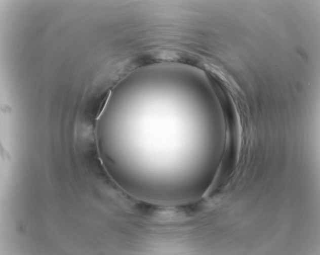 X0000091100521200708131108