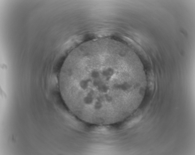 X0000091100523200708131108