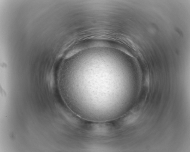 X0000091100524200708131108