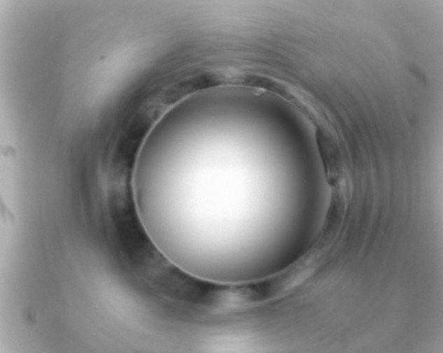 X0000091100525200708131108