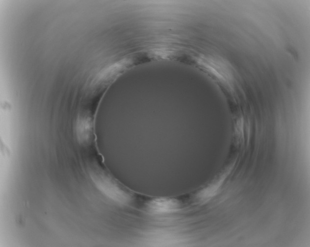 X0000091100526200708131108