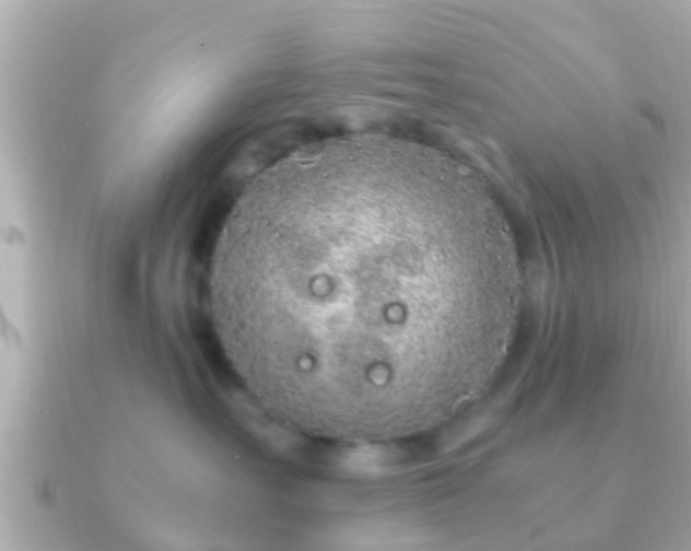 X0000091100527200708131108