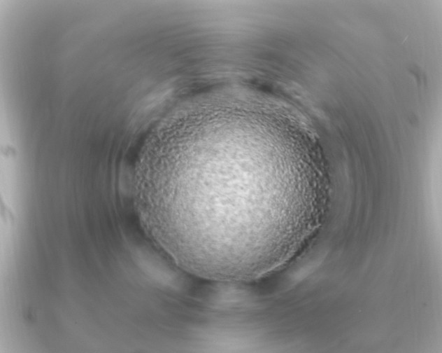 X0000091100528200708131108