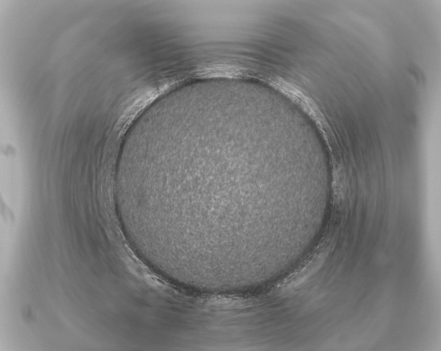 X0000091100529200708131108