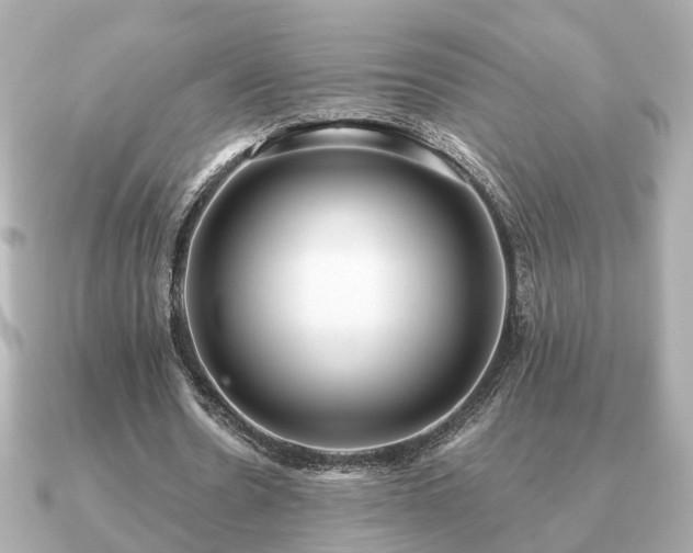 X0000091100530200708131108