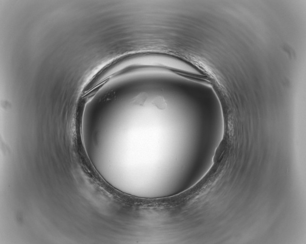 X0000091100532200708131108