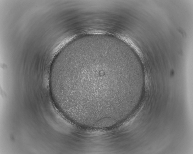 X0000091100533200708131108