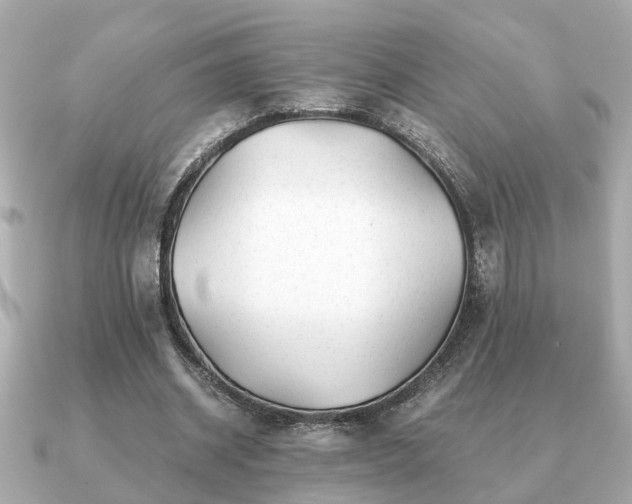 X0000091100534200708131108