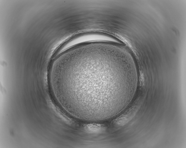 X0000091100535200708131108