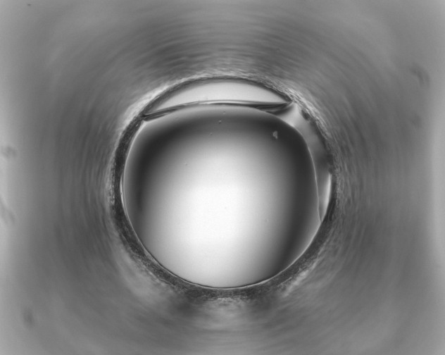 X0000091100536200708131108