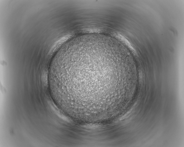 X0000091100537200708131108