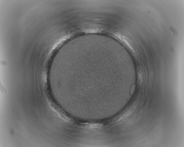 X0000091100539200708131108