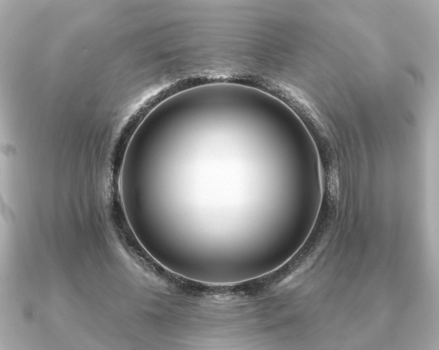 X0000091100540200708131108