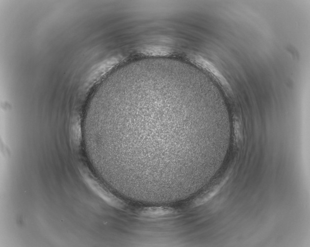 X0000091100541200708131108