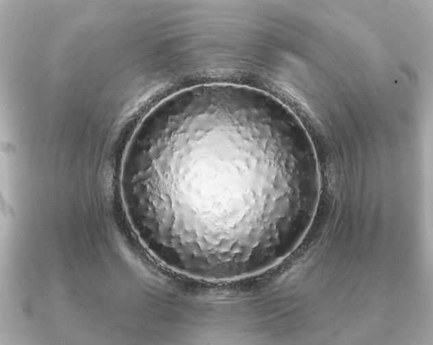 X0000091100542200708131108