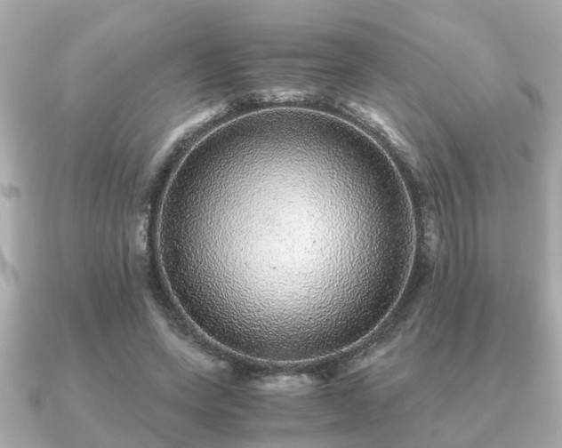 X0000091100543200708131108