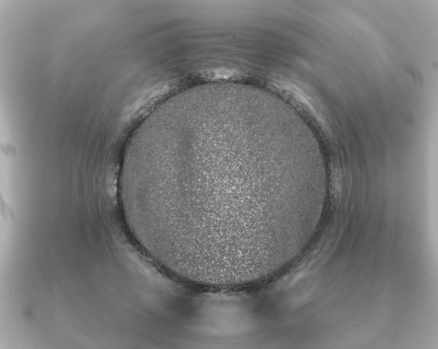 X0000091100545200708131108