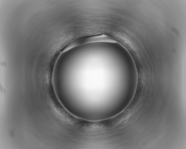 X0000091100546200708131108