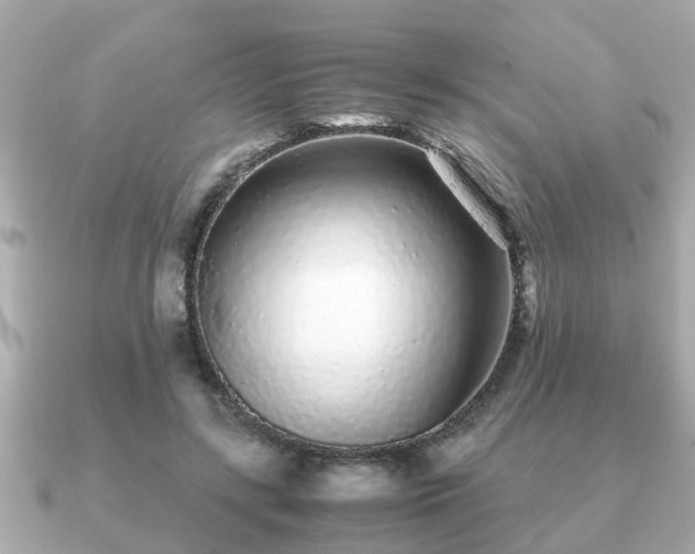 X0000091100547200708131108