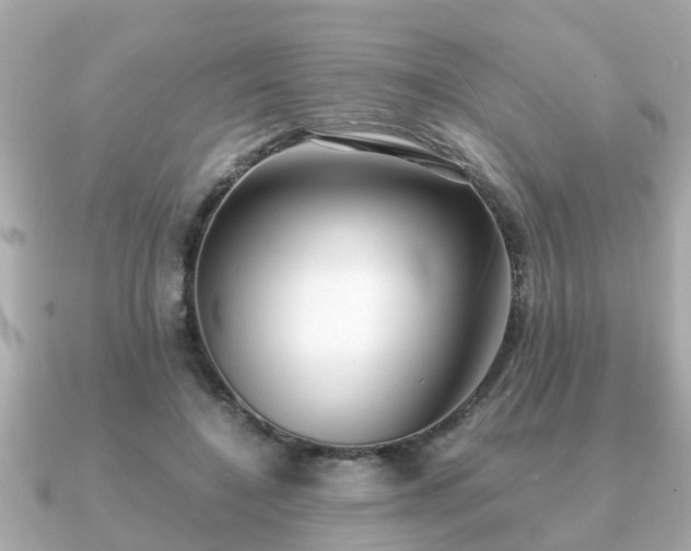 X0000091100548200708131108