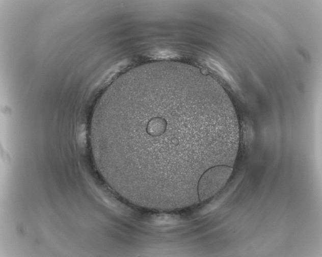 X0000091100549200708131108