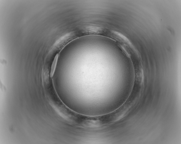 X0000091100552200708131108