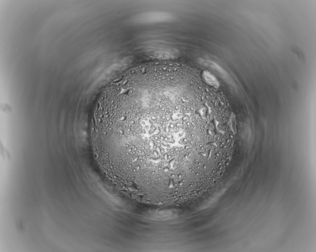 X0000091100553200708131108