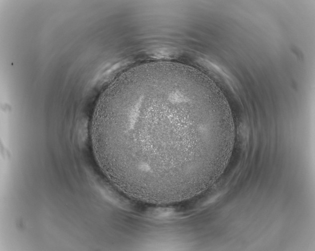 X0000091100554200708131108