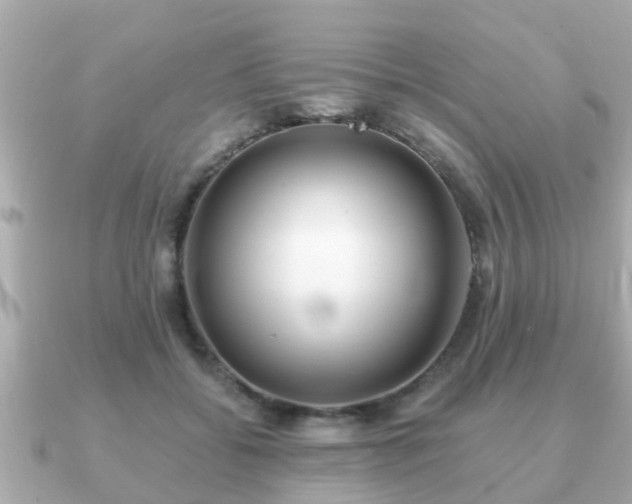 X0000091100556200708131108