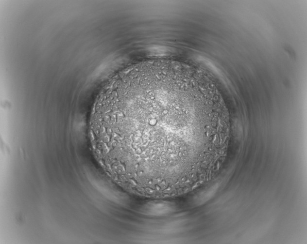 X0000091100557200708131108