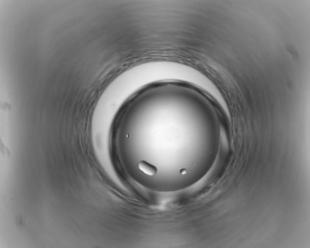 X0000091100558200708131108