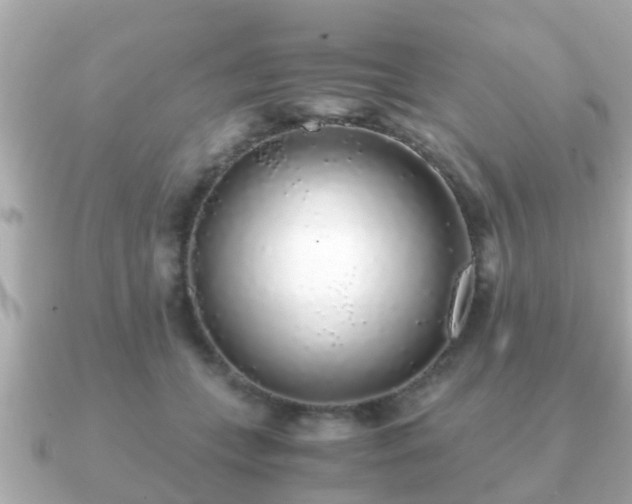 X0000091100559200708131108