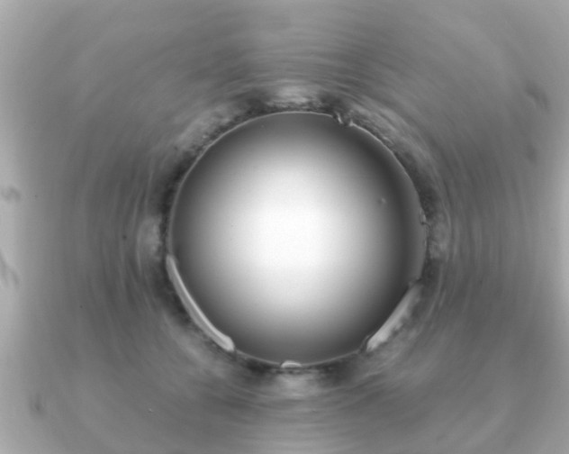 X0000091100560200708131108